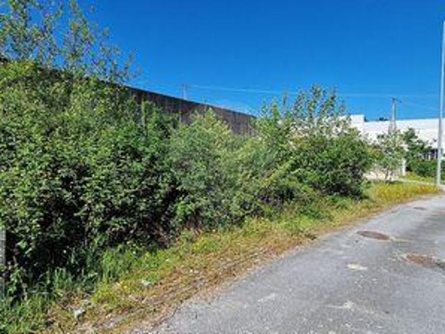 Terrenos Mondim De Basto Vila Real DLS100020394