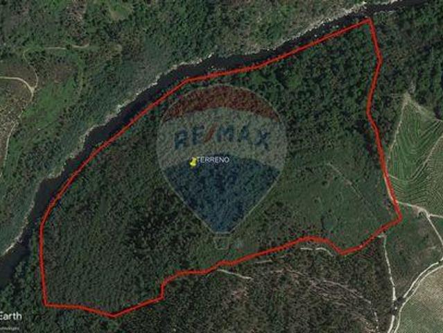 Terrenos Mondim De Basto Vila Real DS100020157