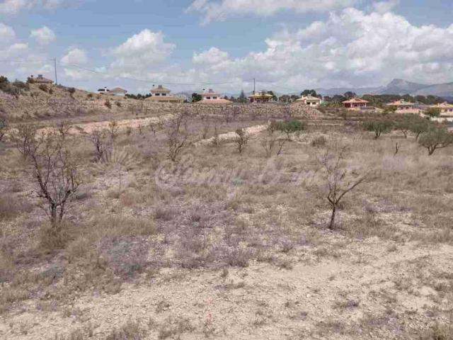 Terrenos Monovar Alicante LS82542403