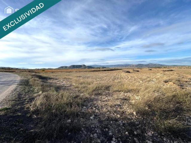 Terrenos Monovar Alicante LS99005232