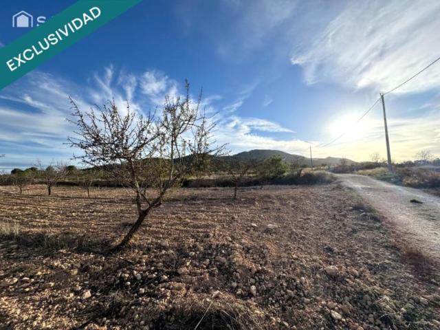 Terrenos Monovar Alicante 99263518