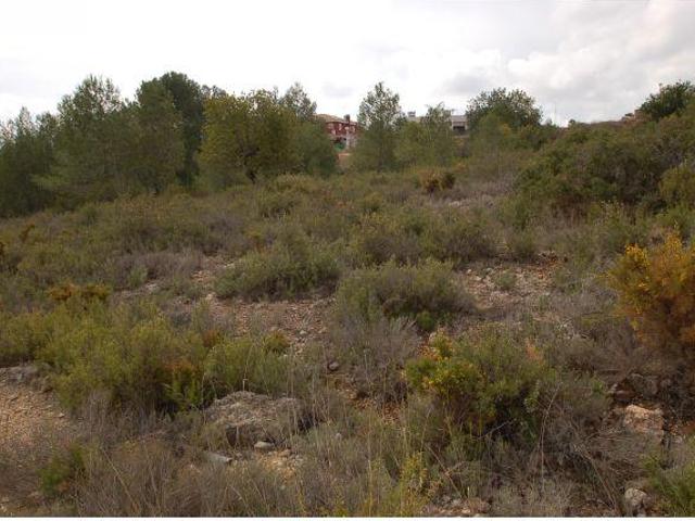 Terrenos Monserrat Valencia LS78111429