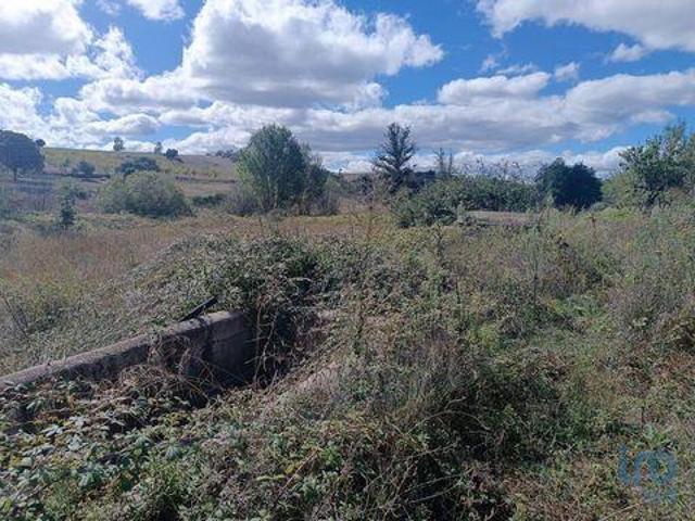 Terrenos Mogadouro Braganca DLS92482524