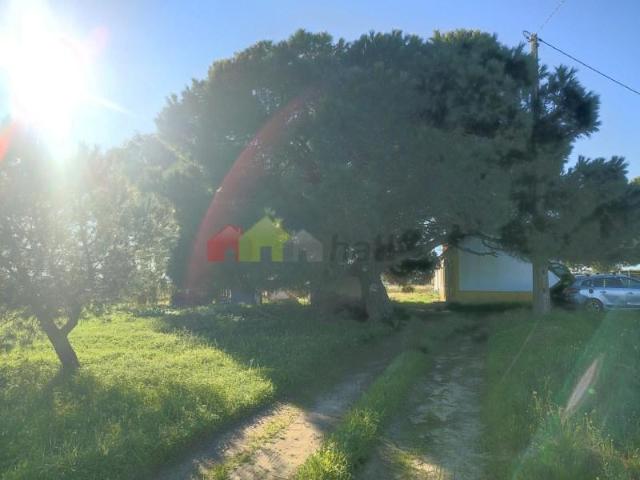 Terrenos Moita Moita DLS91365157