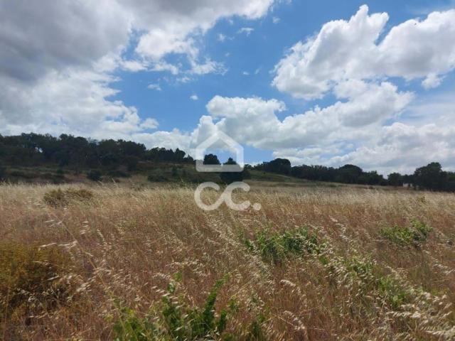 Terrenos Mora Évora DS66628965