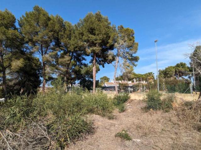 Terrenos Moraira Alicante LS101135453