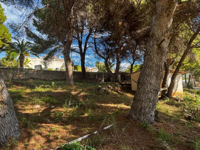 Terrenos Moraira Alicante LS102144226