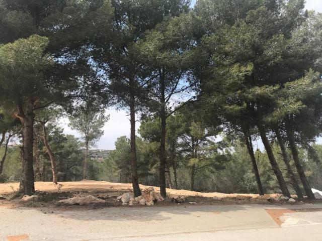 Terrenos Moraira Alicante 101132947