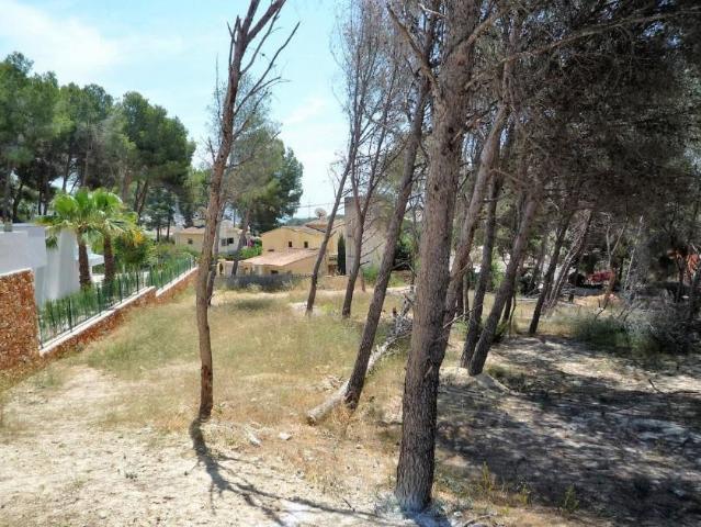 Terrenos Moraira Alicante 101135773