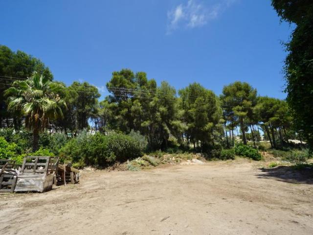 Terrenos Moraira Alicante 99035839