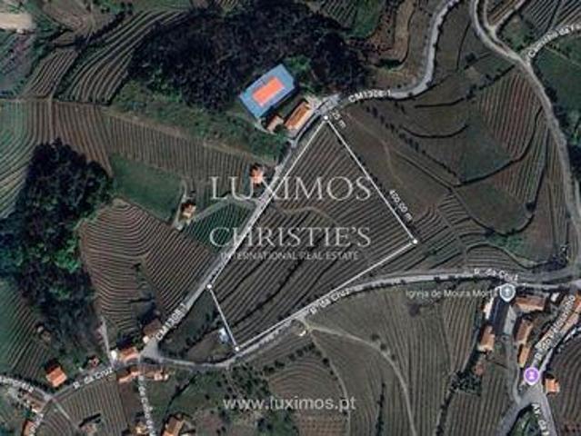 Terrenos Moura Morta e Vinhós VILA REAL DLS98475805
