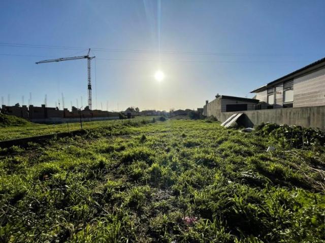 Terrenos Murtosa Murtosa DLS87243000