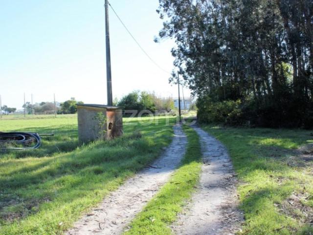 Terrenos Murtosa Murtosa DS98059848