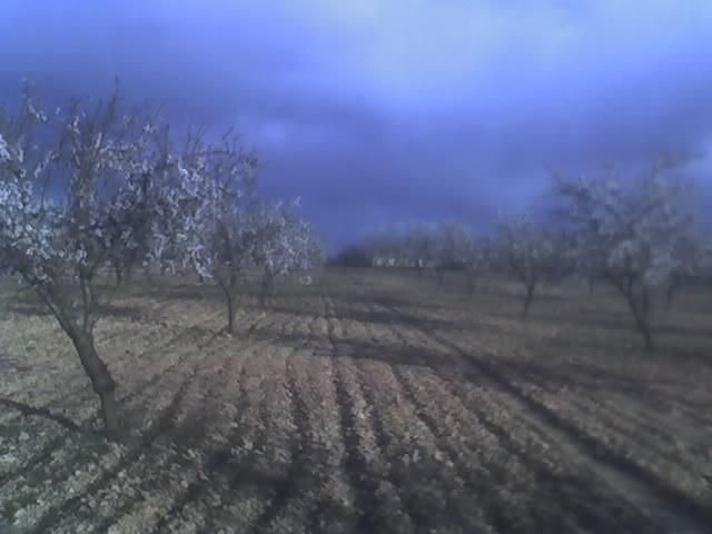 Terrenos Murcia Murcia LS96852664