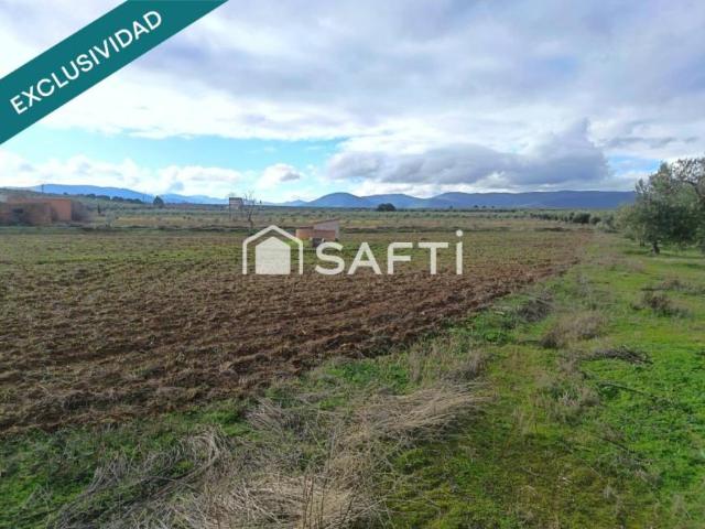 Terrenos Navalucillos Toledo 99005773