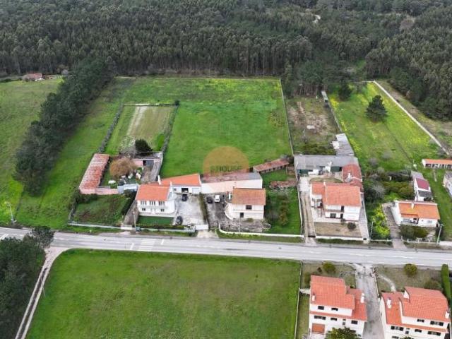 Terrenos Nazaré Leiria DLS98215764