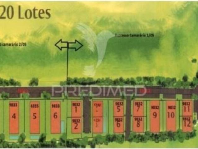 Terrenos Nazaré Leiria DS98138564