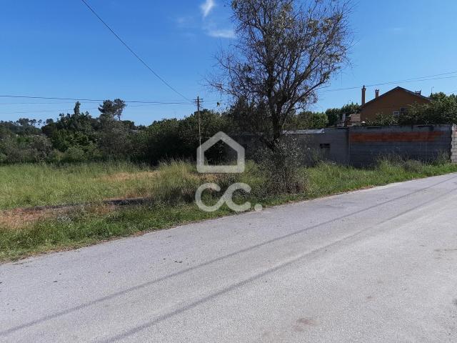 Terrenos Nelas Viseu DLS80393675
