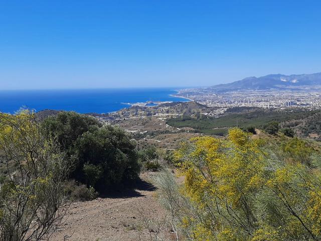 Terrenos no urbanizables en venta en Málaga Limonar Cerrado de Calderón