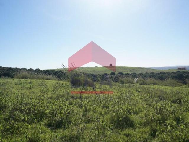 Terrenos Óbidos Óbidos DLS100769131