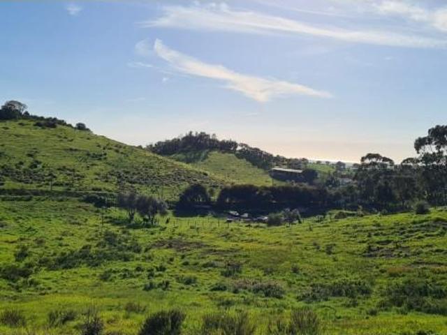Terrenos Odemira Odemira DLS93562320