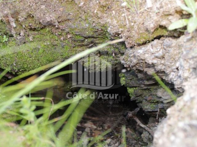 Terrenos Odemira Odemira DS97123367