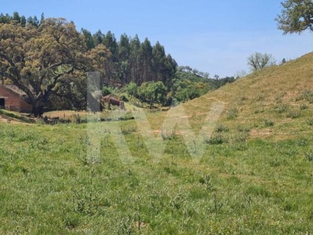 Terrenos Odemira Odemira DS99987392
