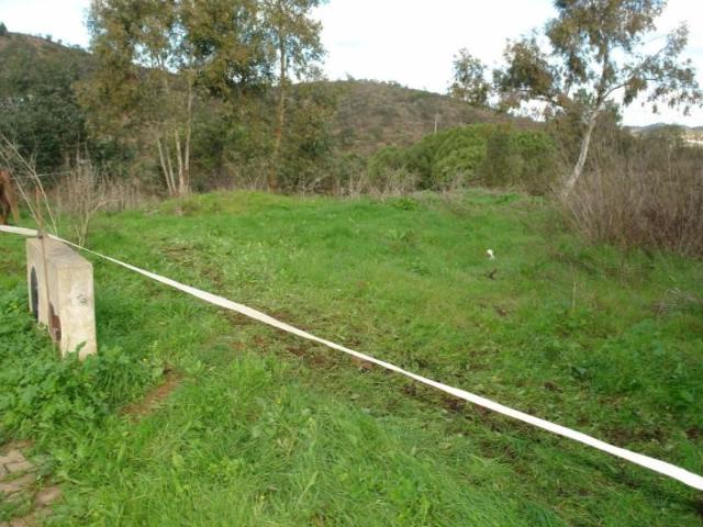 Terrenos Odemira Odemira DS101435291