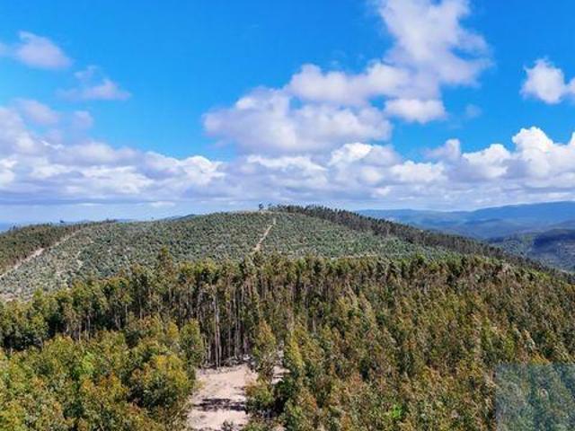 Terrenos Odemira Beja 7630 704 DS102341740