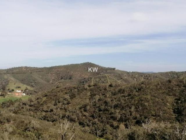 Terrenos Odemira Beja DS79782826