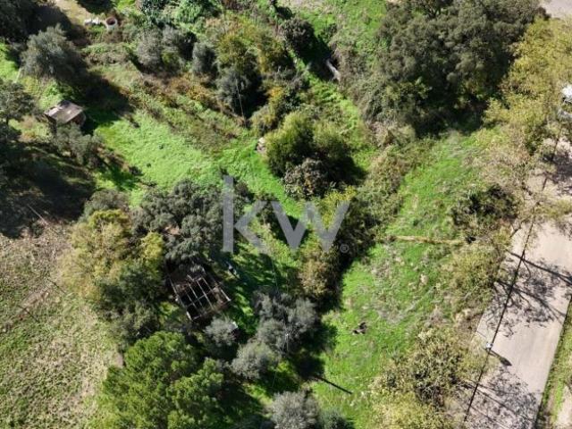 Terrenos Odemira Beja DS86615909