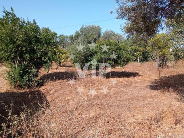 Terrenos Olhão Algarve DS99722744