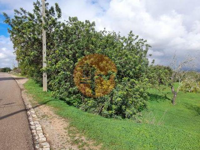 Terrenos Olhão Faro DS96319628