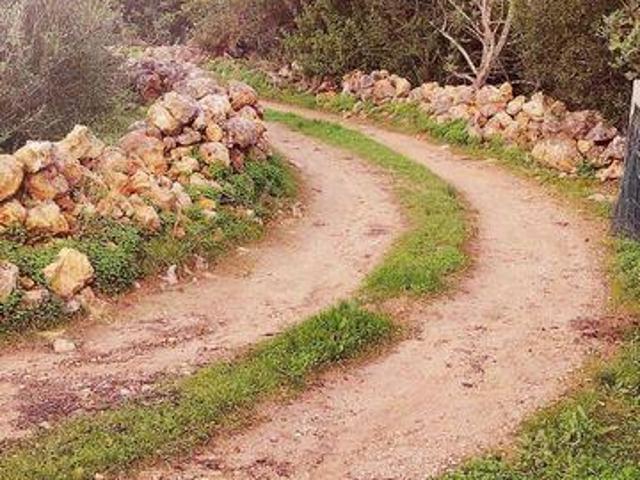 Terrenos Olhao Faro DS98150485