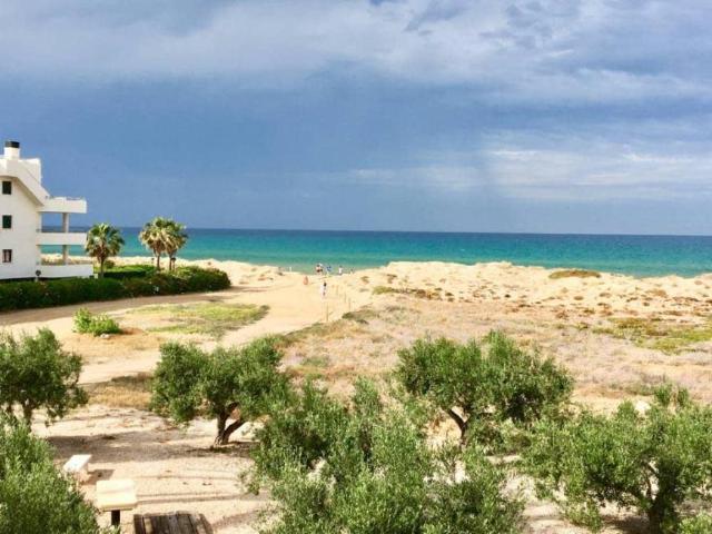 Terrenos Oliva Valencia 97125644