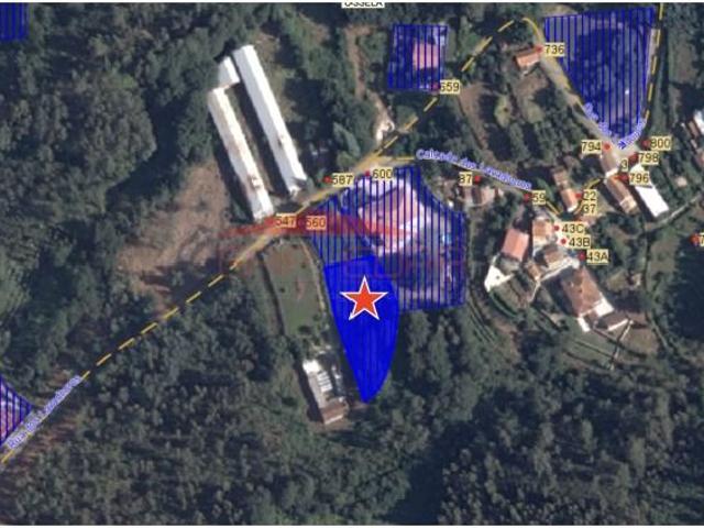 Terrenos Oliveira de Azeméis Oliveira de Azeméis DLS97351669