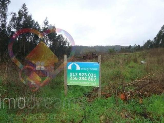 Terrenos Oliveira de Azeméis Oliveira de Azeméis DS95597351