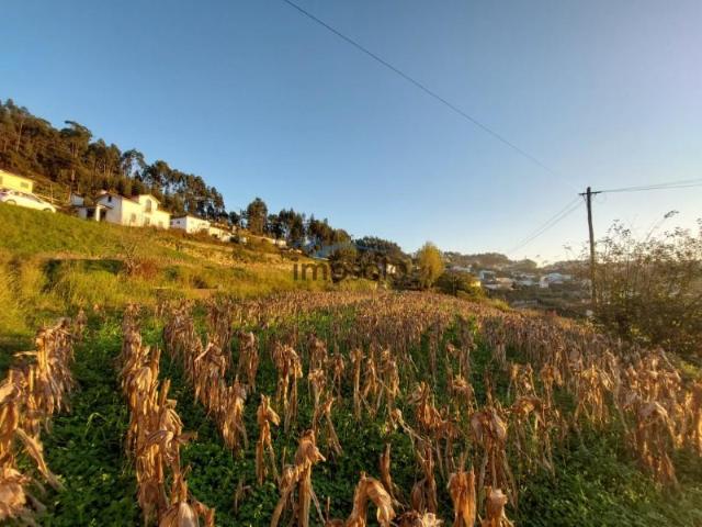 Terrenos Oliveira de Azeméis Oliveira de Azeméis DS97124751