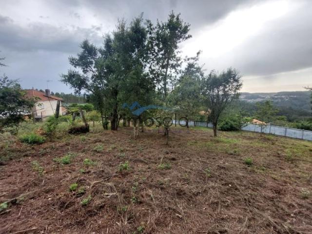 Terrenos Oliveira de Azeméis Oliveira de Azeméis DS97440125