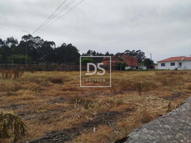 Terrenos Oliveira de Azeméis Aveiro DLS79812987