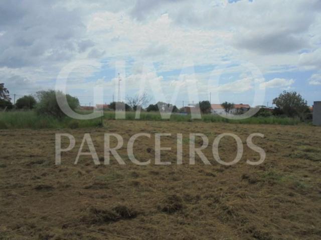 Terrenos Oliveira do Bairro Oliveira do Bairro DLS100936674