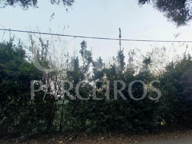 Terrenos Oliveira do Bairro Oliveira do Bairro DLS87042071