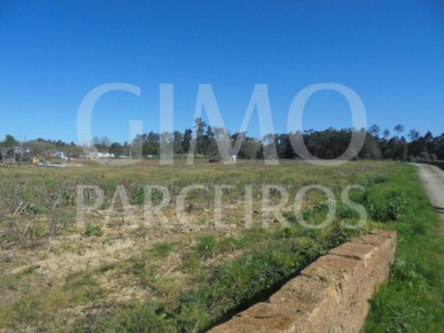 Terrenos Oliveira do Bairro Oliveira do Bairro DLS98654306