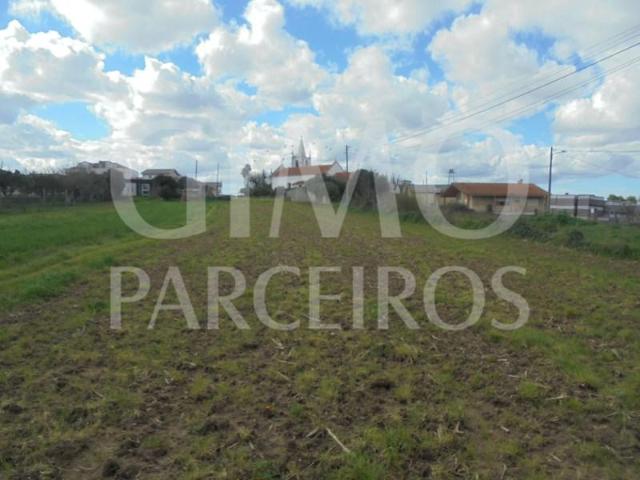 Terrenos Oliveira do Bairro Oliveira do Bairro DS100199856