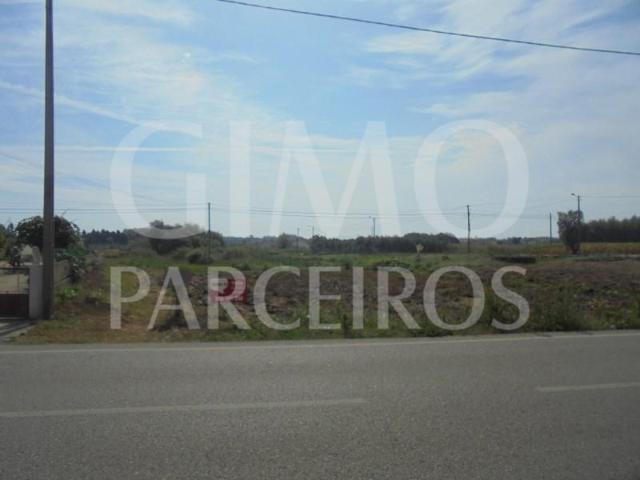 Terrenos Oliveira do Bairro Oliveira do Bairro DS100199864