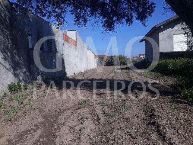Terrenos Oliveira do Bairro Oliveira do Bairro DS100226498