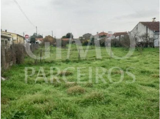 Terrenos Oliveira do Bairro Oliveira do Bairro DS87042501