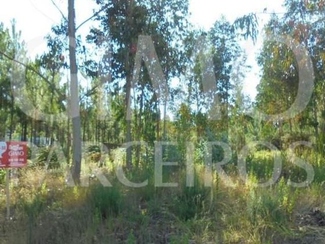 Terrenos Oliveira do Bairro Oliveira do Bairro DS88728083