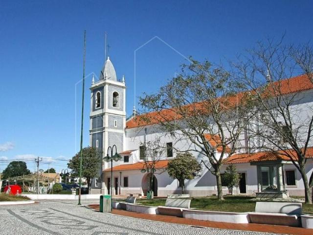 Terrenos Oliveira do Bairro Oliveira do Bairro DS94819151