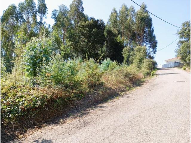 Terrenos Oliveira do Bairro Oliveira do Bairro DS95594191